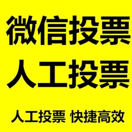 甘肃省投票活动拉票能被查出来吗？如何操作能不被发现？